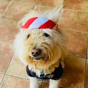 Meet your Posher, Ken